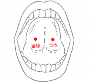 金津、玉液